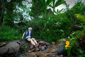 BIB: 1024
                            <button type="button" onclick="openModal(15974544)" class="btn btn-primary btn-sm float-right btn-popup" data-toggle="modal" data-target=".modal-high-quality">
                        <i class="fas fa-shopping-cart"></i> Add to Cart
                    </button>
                                            <button type="button" onclick="isThisMe(15974544, true)" class="btn btn-success btn-sm float-right btn-popup btn-isme hidden" data-toggle="tooltip" data-placement="bottom" title="นี่คือรูปของคุณใช่ไหม คลิกที่นี่เพื่อเอาเข้าอัลบั้ม">
                        <i class="fas fa-plus"></i> Add to album
                    </button>
                    <button type="button" onclick="isThisMe(15974544, false)" class="btn btn-warning btn-sm float-right btn-popup btn-isnotme hidden">
                        <i class="fas fa-ban"></i> Remove from album
                    </button>